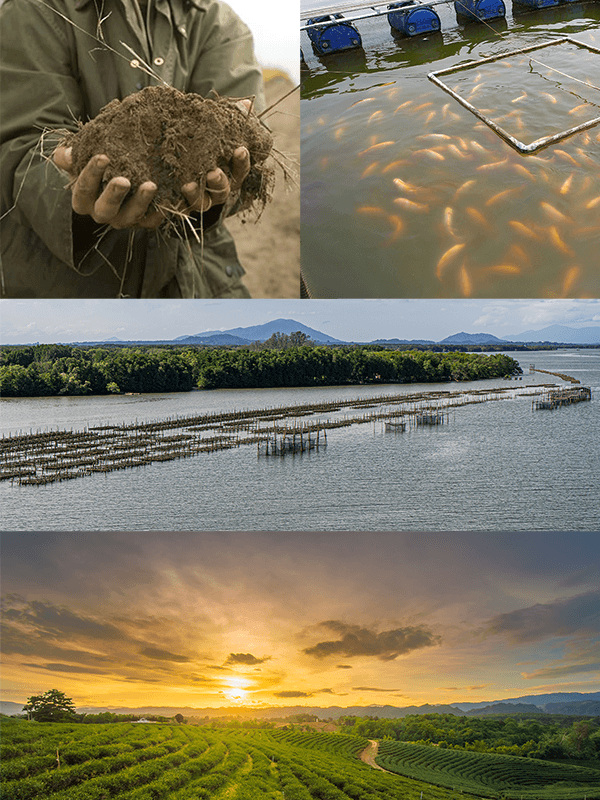 Imagery (1) Nanobubble_sectors